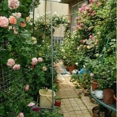 靴裏の泥で玄関汚れませんか？石のタイル置き石で雑草や靴の汚れを防げます。の画像