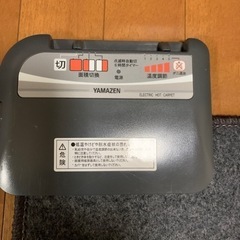 【引渡し者決定】ホットカーペットの画像