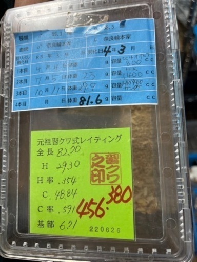 本家奈良輪川西