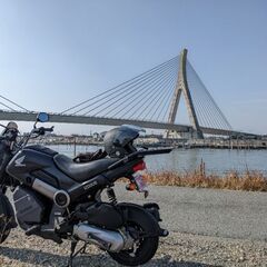【お話中】HONDA　NAVI110の画像