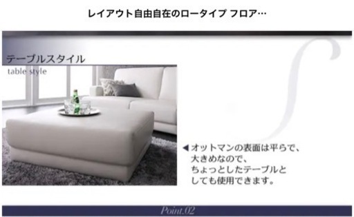 ローソファータイプ⭐︎オットマン　2個セット