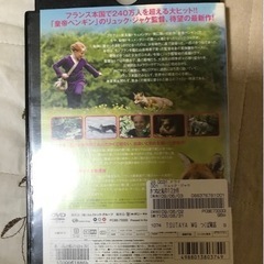 きつねと私の12か月 中古DVD レンタル落ちの画像