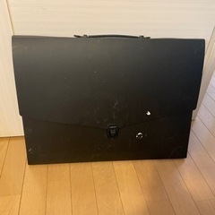 A3アルタートケース