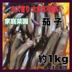 10月1日 家庭菜園 訳あり 茄子 約1kg 数量限定