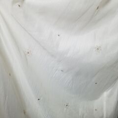 2重 レースカーテン 2枚セット