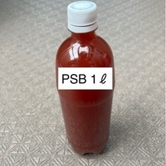 【ゆうメダカ】PSB 1リットル 300円