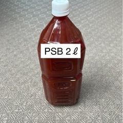 【ゆうメダカ】PSB 2リットル 500円