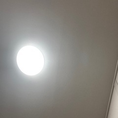 テスト