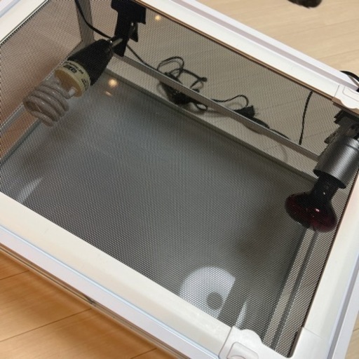 爬虫類 ゲージ パンテオンホワイトWH630