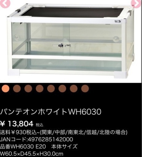 爬虫類 ゲージ パンテオンホワイトWH630