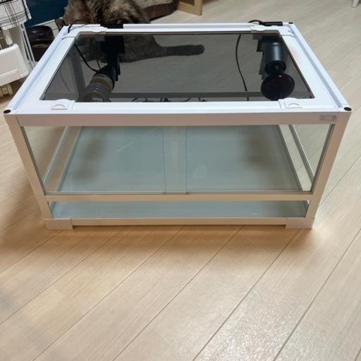 爬虫類 ゲージ パンテオンホワイトWH630