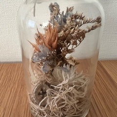 ガラスの瓶のドライフラワーの画像