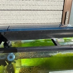 主の居なくなった上部フィルター