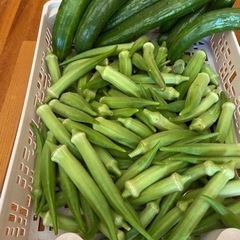 決まりました^ ^朝取り野菜の画像