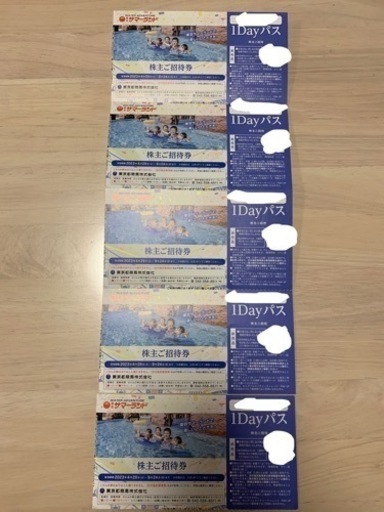 東京サマーランド 株主優待券 フリーパス6枚