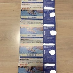 東京サマーランド 株主優待券 フリーパス6枚