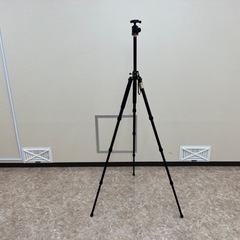 【お譲り先決まりました】【美品】QZSD Q999S これ一台で...