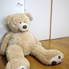 コストコのクマのぬいぐるみ