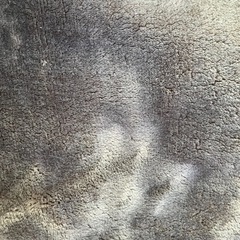 【あげます】お部屋用　ラグ　マット　185×185の画像