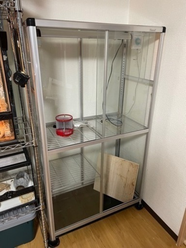 決まりました。ガラス温室と周辺器具