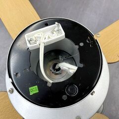 オーデリック シーリングファン SH9014LDR LED 電球色 4枚羽根 5灯