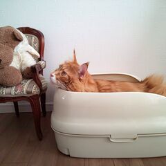 ユニ・チャーム猫用システムトイレ新品の画像