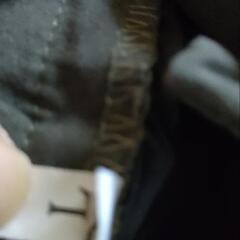 台湾製品未使用短パン緑の画像