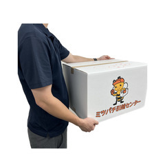 新品　引越しダンボール　Lサイズ10箱　送料無料（一部地域を除く）の画像