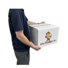 新品　引越しダンボール　Mサイズ10箱　ハンガーボックス　送料無料（一部地域を除く）の画像