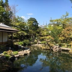 10月中〜下旬 京都市内でお洒落カフェや寺院巡り出来る方