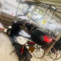 YAMAHA ZUMA ( 50cc ) の画像