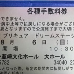 ひろがるスカイ！プリキュア　ドリームステージ　8／6 山梨公演チケット