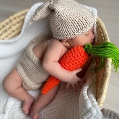 【譲渡先決定】PUPPAPUPO クーファン＋抱っこ布団 【 イブル モロッカン 】綿100%の画像