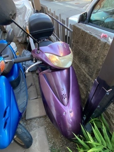 HONDA ライブディオ 原付