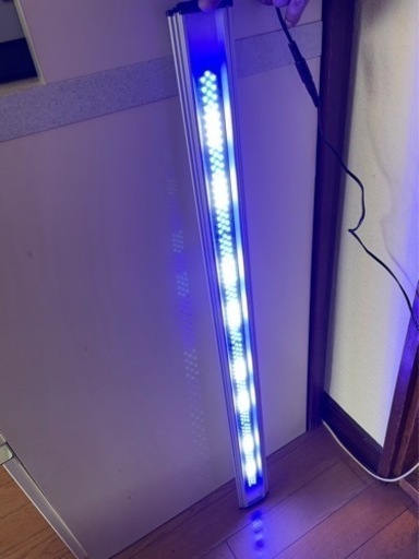 900ガラス水槽