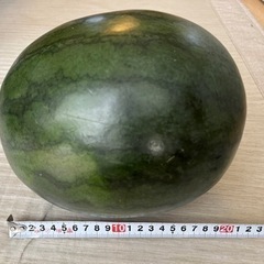 【お取引中】熊本県産小玉スイカ　ひとりじめ　1玉