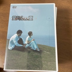 愛なんていらねえよ、夏
