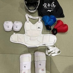 ミズノ　空手　防具
