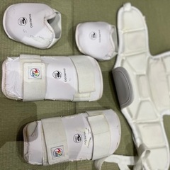 ミズノ　空手　防具の画像