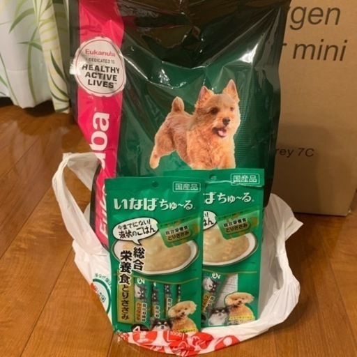 ペットオキシホテルスクエアSサイズ＆高性能酸素濃縮器mini＆おまけ(フード)