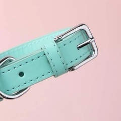 【首輪】Sサイズ　犬首輪　ペット首輪　ドッグ首輪　猫首輪　犬服　犬の服の画像