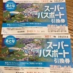 芝政ワールド　スーパーパスポート大人2枚　