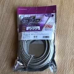 LANケーブル10m