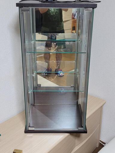 最終値下げ 手渡し限定 コレクションケース コレクションボード