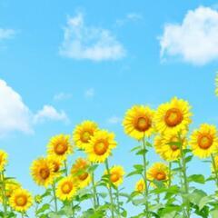 空き時間レンタルします