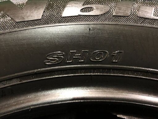 新品 ROADSTONE N blue eco SH01 225/55R16 16インチ 夏タイヤ 2本 ベンツ/Eクラス/Eクラスステーションワゴン等　(MTM221)  クレジットカード QR決済可能