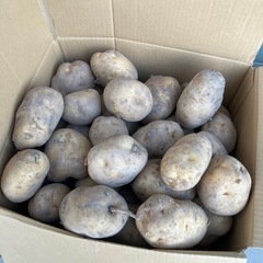 ③じゃがいも　野菜　フライドポテト　ポテトサラダ　ジャーマンポテトに！