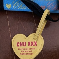 中古　旅行バッグ　修学旅行　自然教室等の画像