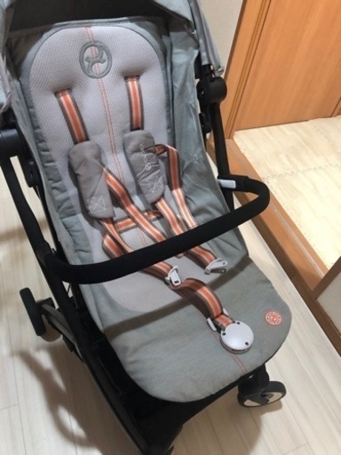 サイベックス　リベル　2022