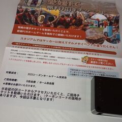 愛媛FC　チケット　2枚の画像